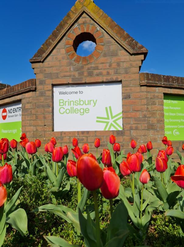 Bramley Guest Rooms Pulborough Exterior foto